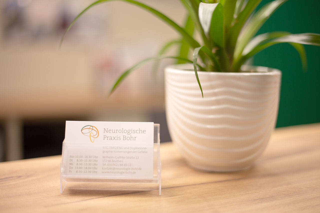 Visitenkarten und Topfpflanze auf dem Empfangstresen